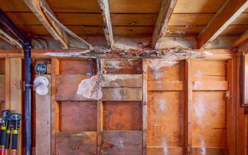 Older Home, Wet Walls: Lead and Asbestos Questions Before Repairs Start